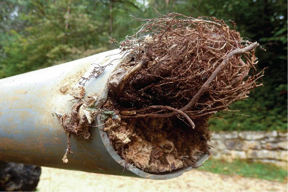 Clogged Sewer Line Repair in Showlow Arizona